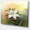 Designart - White Lily Flower Oil Painting - Large Floral Canvas Art Print